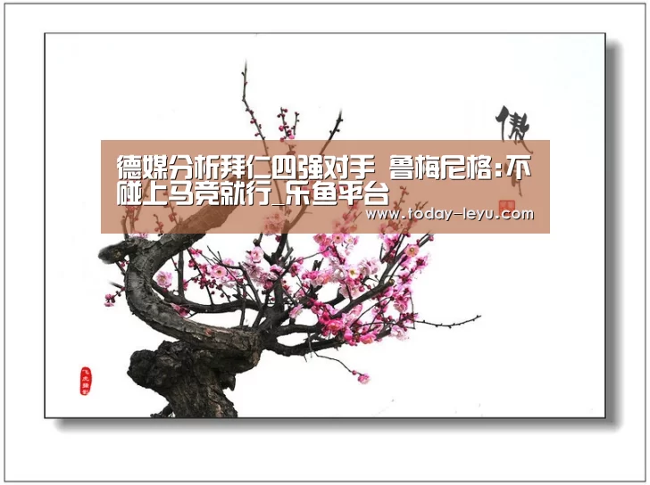 德媒分析拜仁四强对手 鲁梅尼格:不碰上马竞就行_乐鱼平台(图1) 乐鱼平台