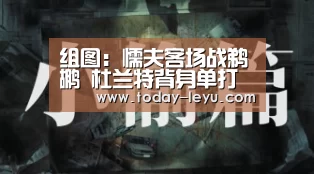 乐鱼平台