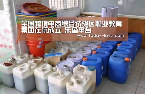 全国跨境电商综合试验区职业教育集团在杭成立_乐鱼平台(图3) 乐鱼体育APP