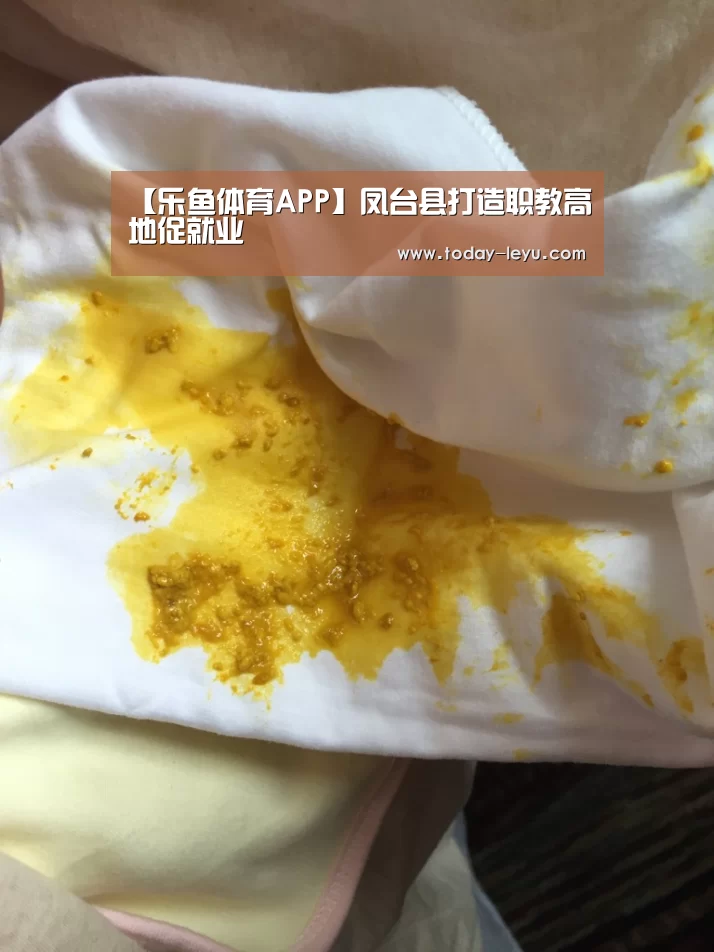 【乐鱼体育APP】凤台县打造职教高地促就业(图4) 【乐鱼体育APP】凤台县打造职教高地促就业(图4)