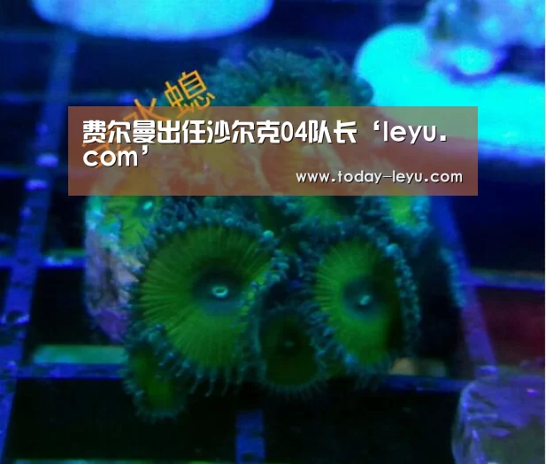 费尔曼出任沙尔克04队长‘leyu.com’(图1) 费尔曼出任沙尔克04队长‘leyu.com’(图1)