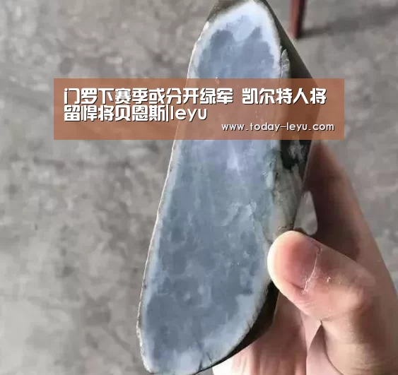 门罗下赛季或分开绿军 凯尔特人将留悍将贝恩斯|leyu(图2)