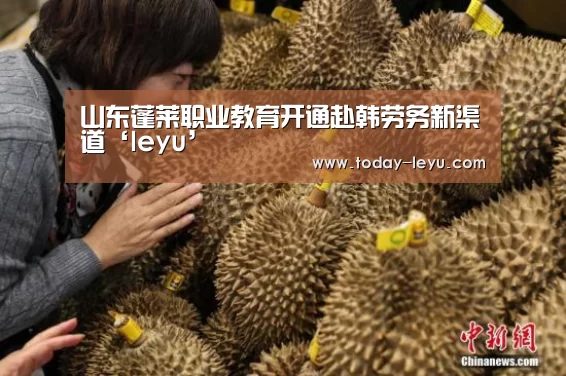 乐鱼平台