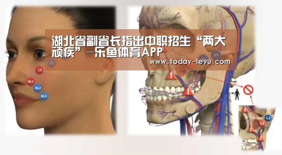 湖北省副省长指出中职招生“两大顽疾”-乐鱼体育APP(图3) 乐鱼平台