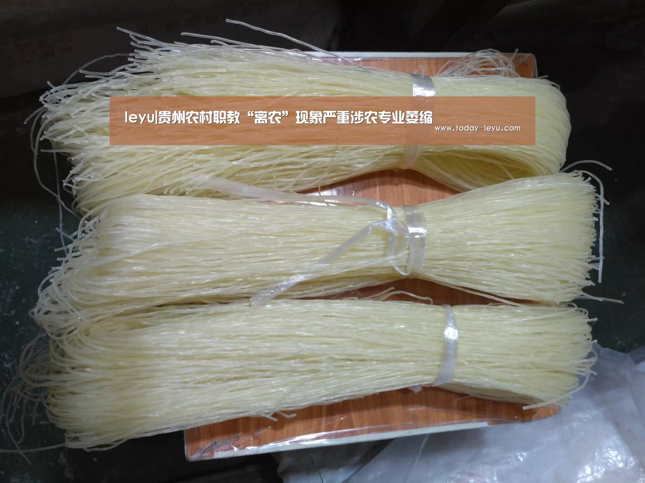 leyu|贵州农村职教“离农”现象严重涉农专业萎缩(图1) 乐鱼体育APP