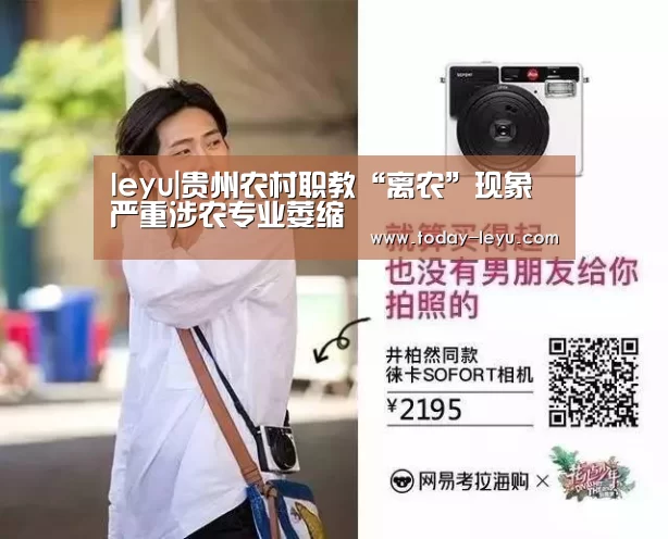 乐鱼平台
