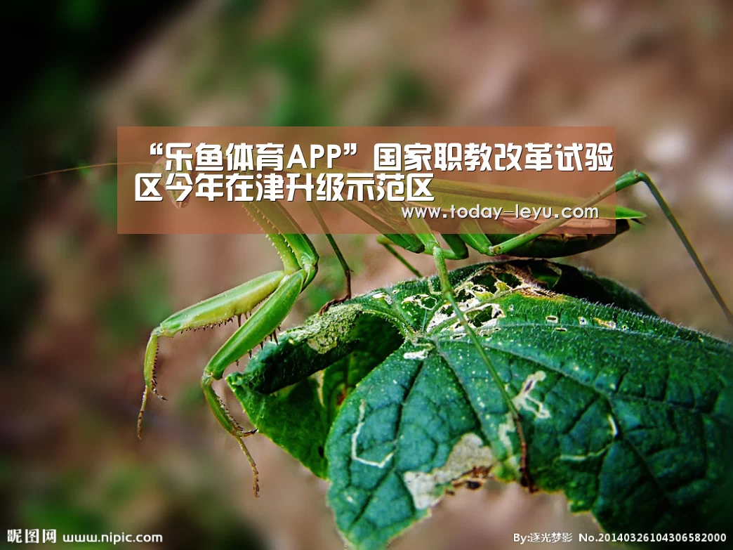 乐鱼平台