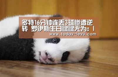 多特16分钟连丢3球惨遭逆转 罗伊斯生日碌碌无为:leyu.com(图4) 多特16分钟连丢3球惨遭逆转 罗伊斯生日碌碌无为:leyu.com(图4)