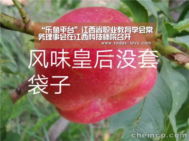“乐鱼平台”江西省职业教育学会常务理事会